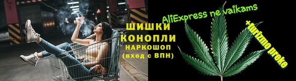 винт Алексин