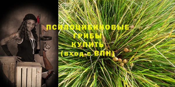круглые Алексеевка
