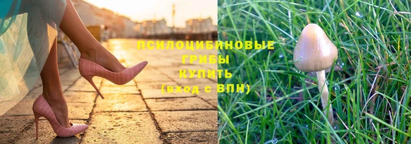 круглые Алексеевка