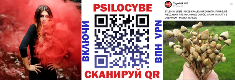 купить наркотик  Аткарск  кракен tor  Галлюциногенные грибы Magic Shrooms 